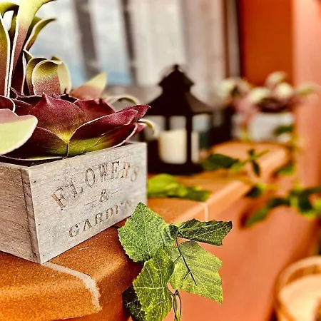 Paradise Appartement